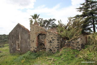 ammena-26-02-2023 13-45-25
